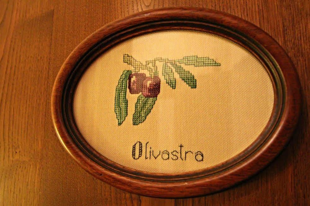 세스토 피오렌티노 Ulivo Rosso B&B 외부 사진